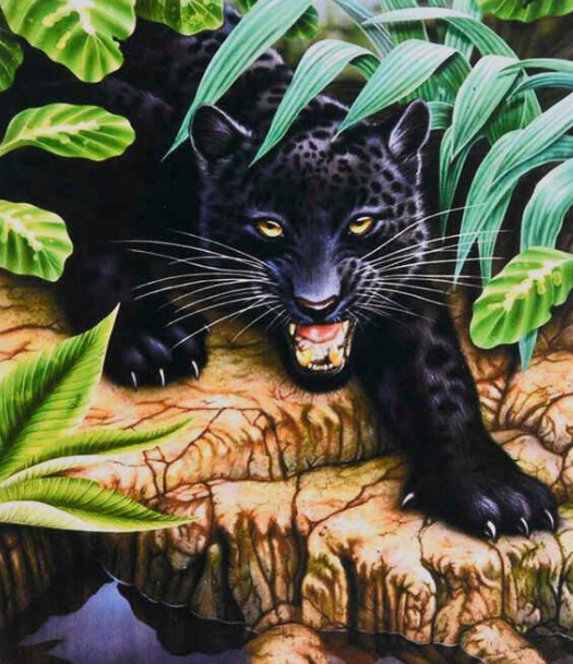 Картина по номерам TK Group 30917 30 Черная пантера 30х40 см (110314)