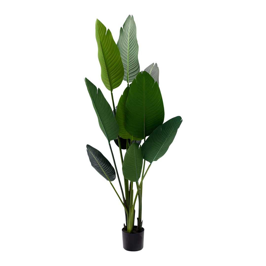 Искусственное растение Engard Banana Tree 155 см (TW-09)