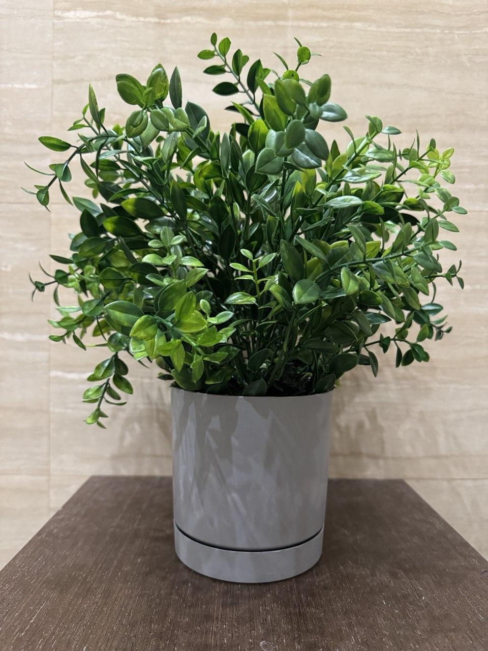 Вазон з штучним самшитом ПЛАСТМАКС (25087356) - фото 2