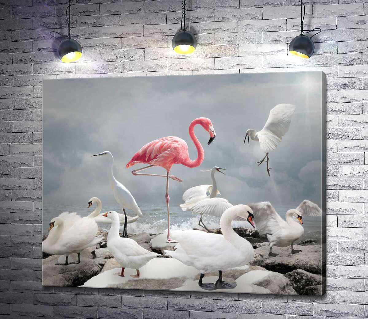Картина ArtPoster Рожевий фламінго серед білосніжний лебедів, чапель та гусей 130x106 см Модуль №1 (003273)