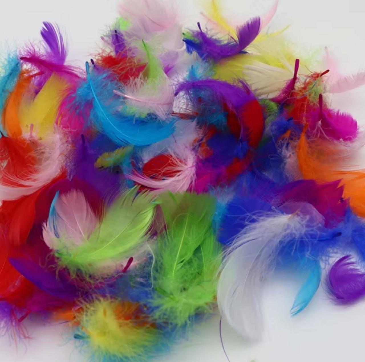 Набір пір'я декоративного Мікс 3 для дитячої творчості 95-100 шт. 4-9 см (32618134)