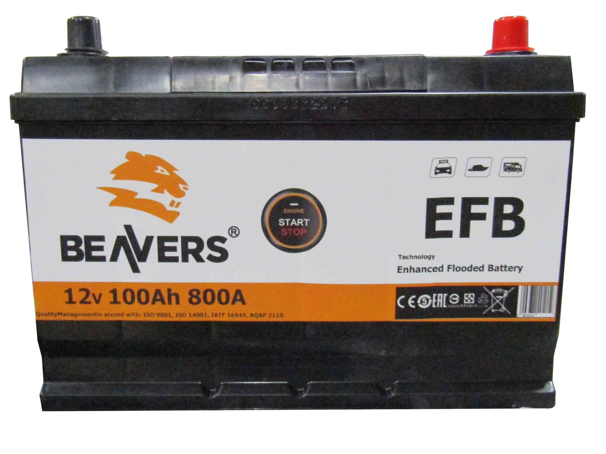 Аккумулятор BEAVERS 6СТ-100 R+ ASIA EFB 800А - фото 4