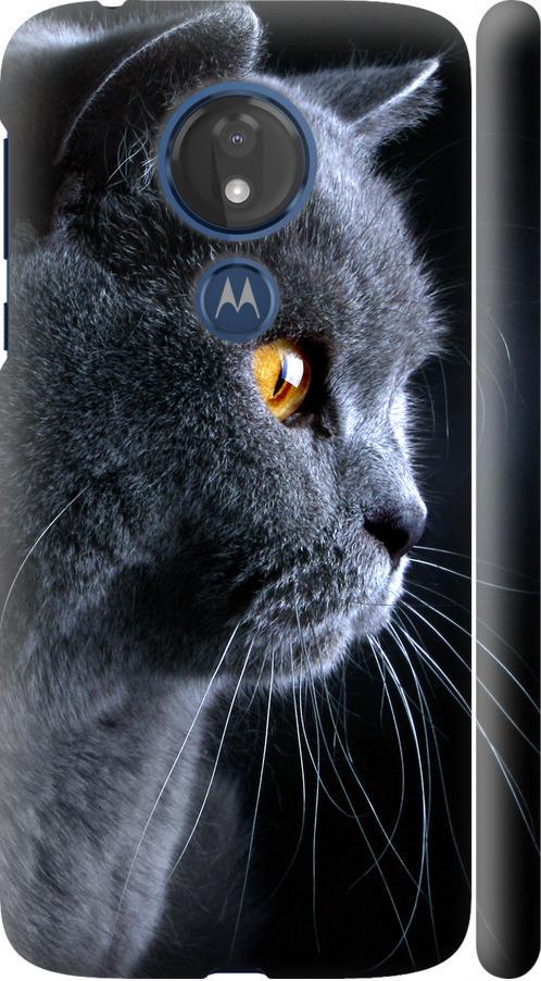 Чехол на Motorola Moto G7 Power Красивый кот (3038m-1657-42517)