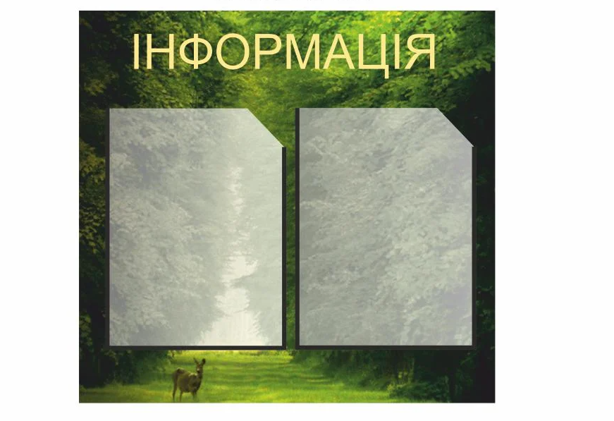 Стенд Vivay Куточок споживача 53x50 см (27101882)