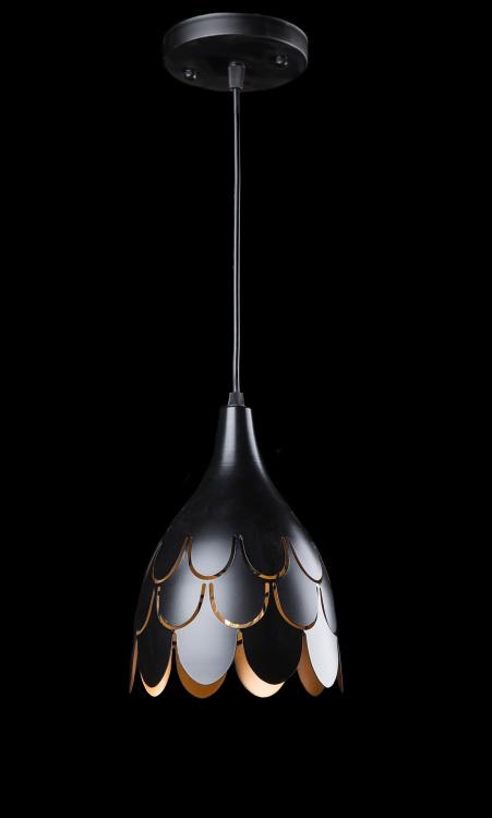 Подвесная люстра Ray L4593/1 BK (IR005629)