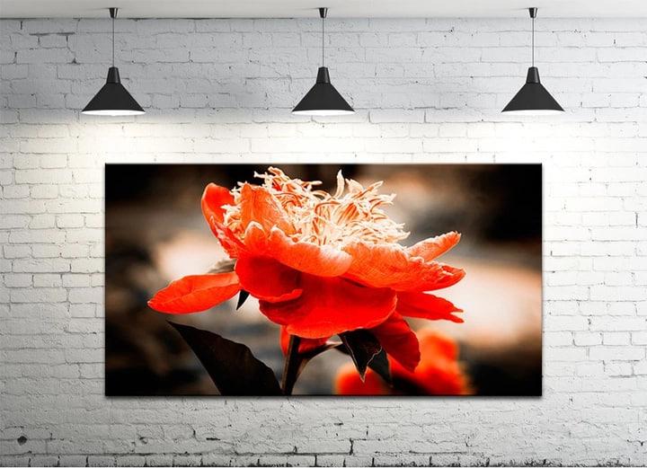 Картина на холсте DK Цветы 50х100 см (DKP50100-c443)