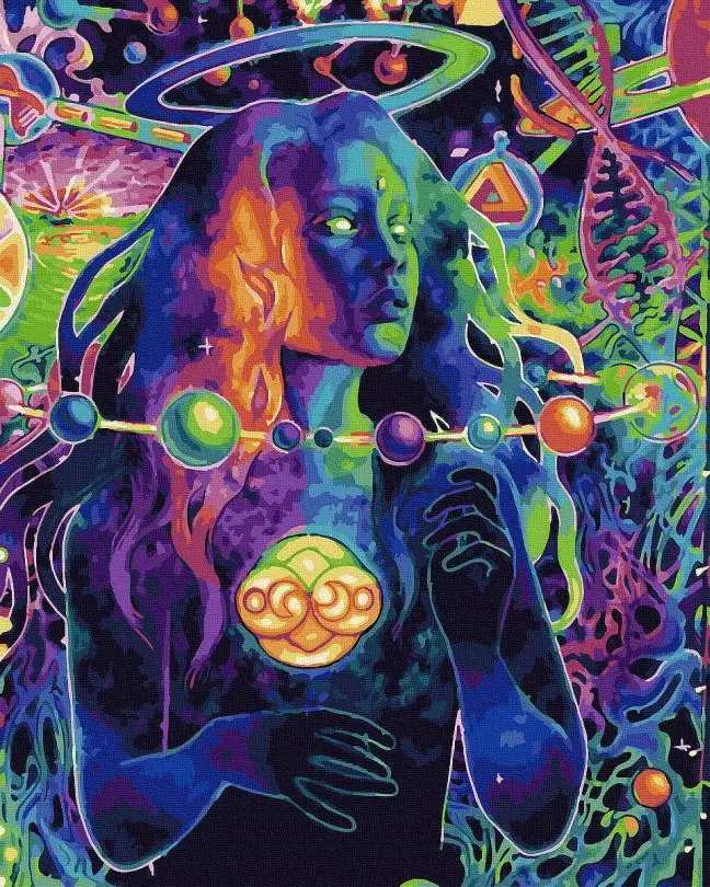 ᐉ Картина за номерами Rainbow Art Психоделічний живопис 40x50 см
