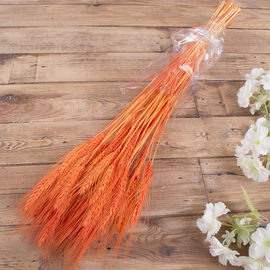 Натуральная пшеница Оранжевый (2695-9)