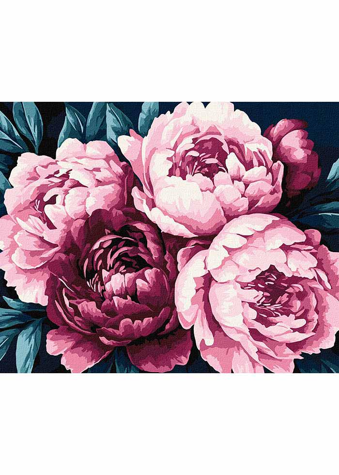 Картина по номерах Ideyka Ніжні пелюстки 40х50 см (KHO3306)