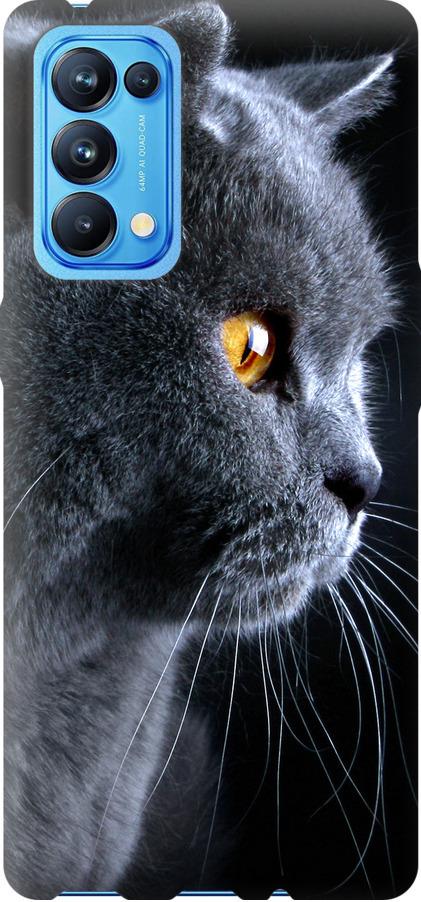 Чехол на Oppo Reno5 Pro Красивый кот (3038u-2239-42517)