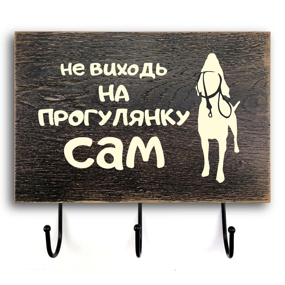 Табличка-вешалка деревянная входная Не выходи на прогулку 20х30 см