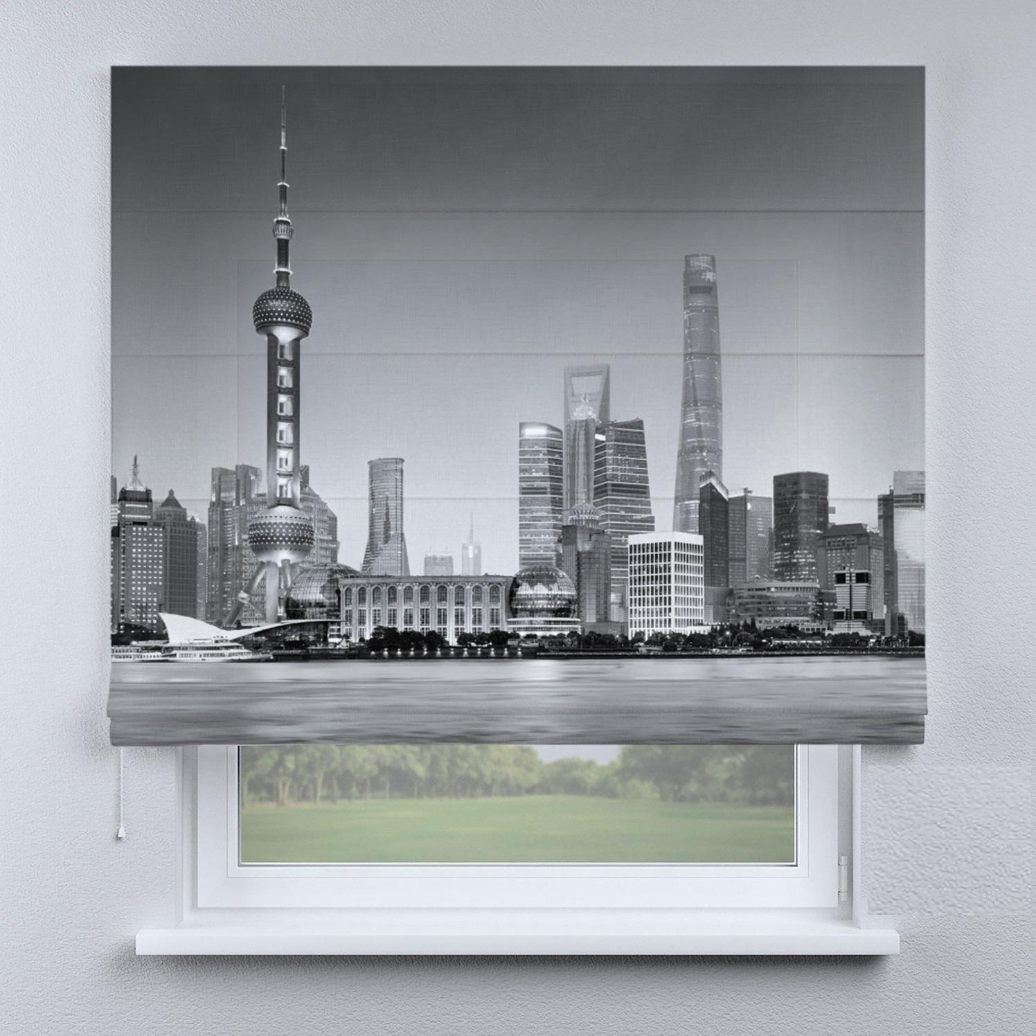 Римская штора Веревочный карниз Wenster ДВ 15-15-15 Город Black&White 215х170 см Черный (6165187)