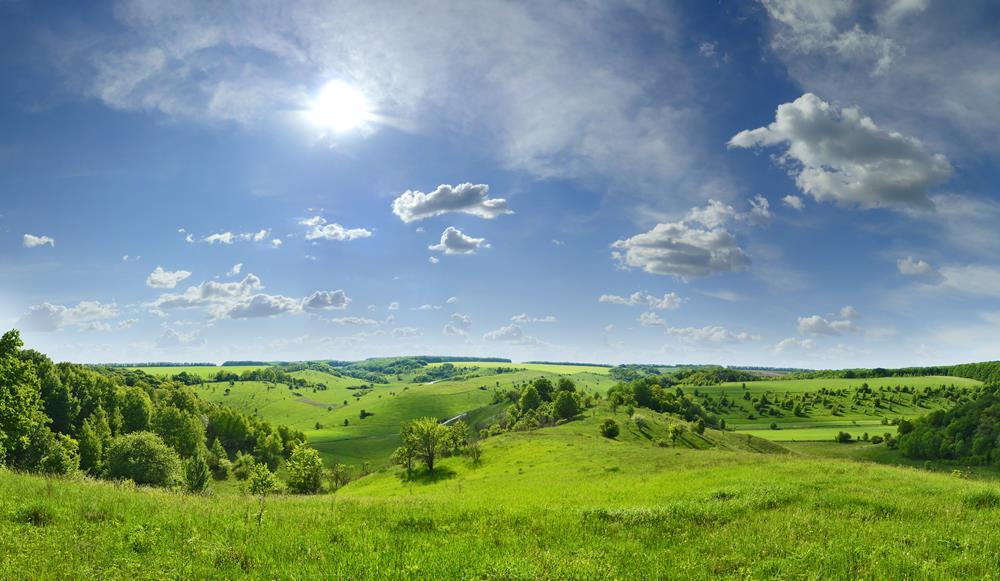 Картина на холсте Природа 55х85 см (N401)