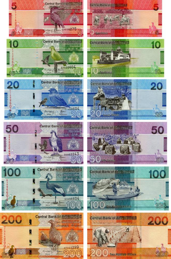 Коллекционный набор из 6 банкнот Гамбия 2023 UNC Птицы Гамбии 5/10/20/50/100/200 даласи