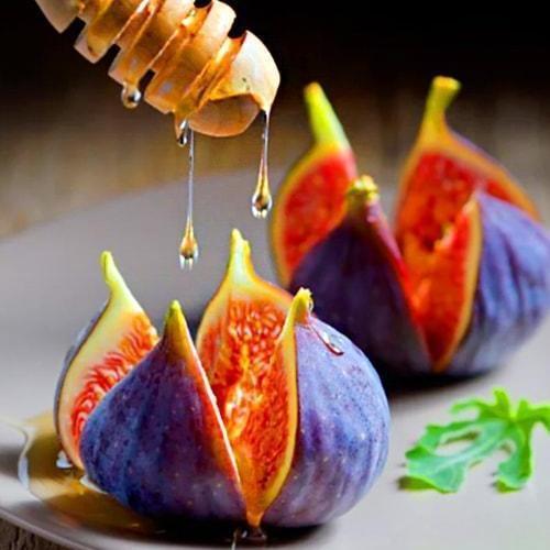 Сажанець Ексклюзив Інжир буро-фіолетового забарвлення Шервуд Sherwood преміальний високоврожайний сорт среднепозднего терміну дозрівання (47390)