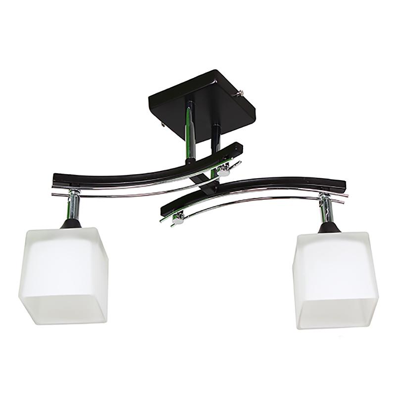 Люстра стельова SRS-13565/2 з поворотним плафоном Чорний