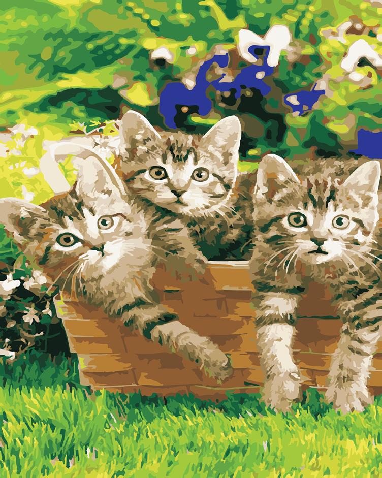 Картина по номерам Art Story Котята в саду 40x50 см (AS1051)