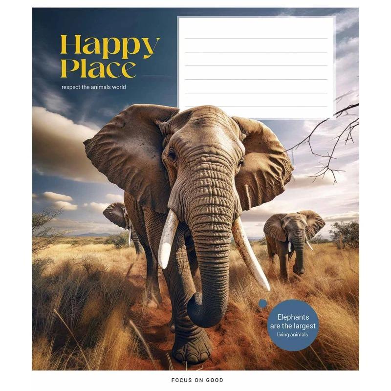 Школьная тетрадь в линейку Школярик 12 листов Разноцветный (NB-286-Z-408)