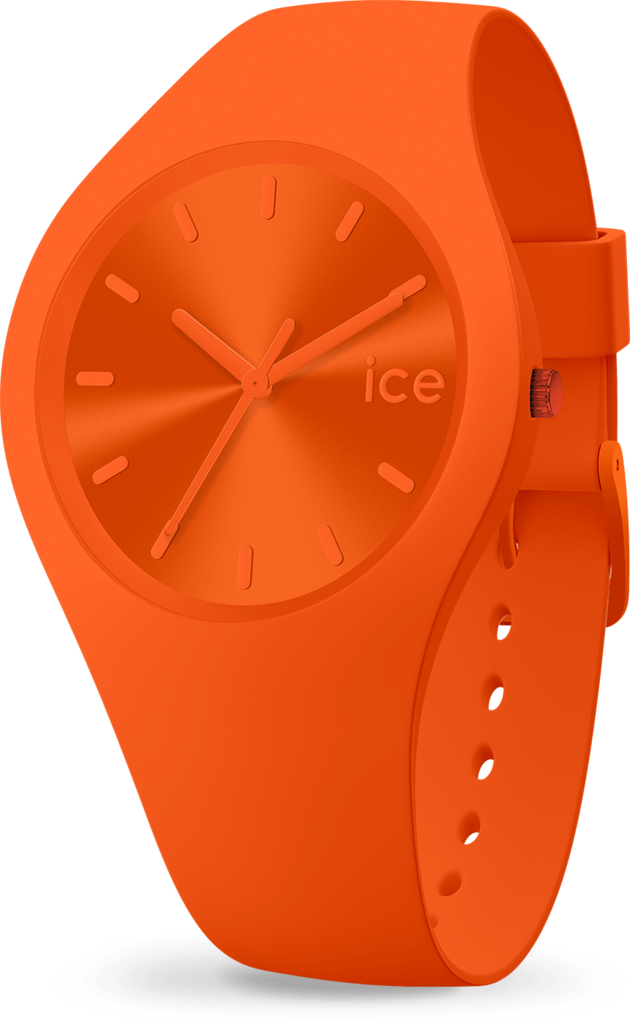 Часы кварцевые Ice-Watch (17911)