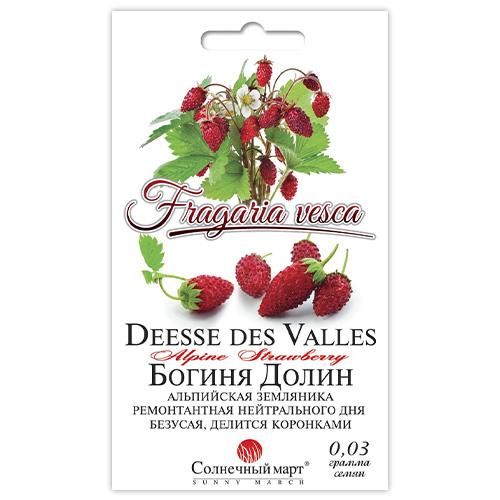 Насіння Суниця Florium Богиня Долин (18713) - фото 2 Насіння Суниця Florium Богиня Долин (18713) - фото 2