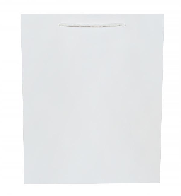 Подарочный пакет White ламинированный картон 26x12x32 см Подарочный пакет White ламинированный картон 26x12x32 см