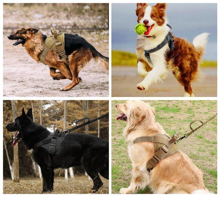 Шлея для собак Harness с ручкой M 60-75 см Коричневый (2291574421) - фото 9 Шлея для собак Harness с ручкой M 60-75 см Коричневый (2291574421) - фото 9