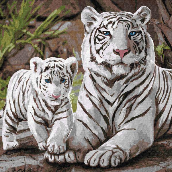 Картина по номерам Идейка Бенгальская семья 40x40 см (KHO4376)