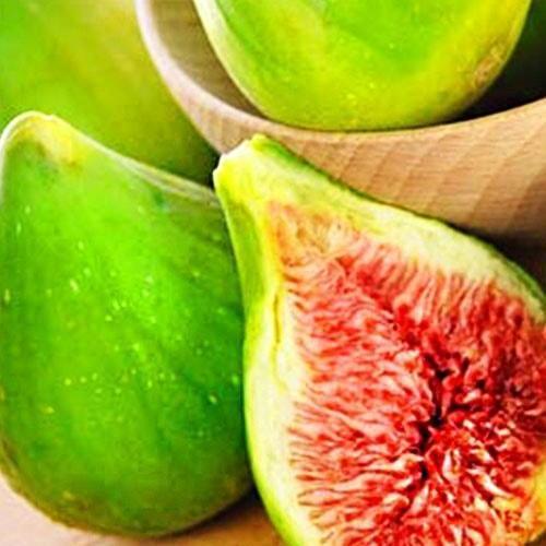 Сажанець Інжир Далматський Турецький білий (25542)