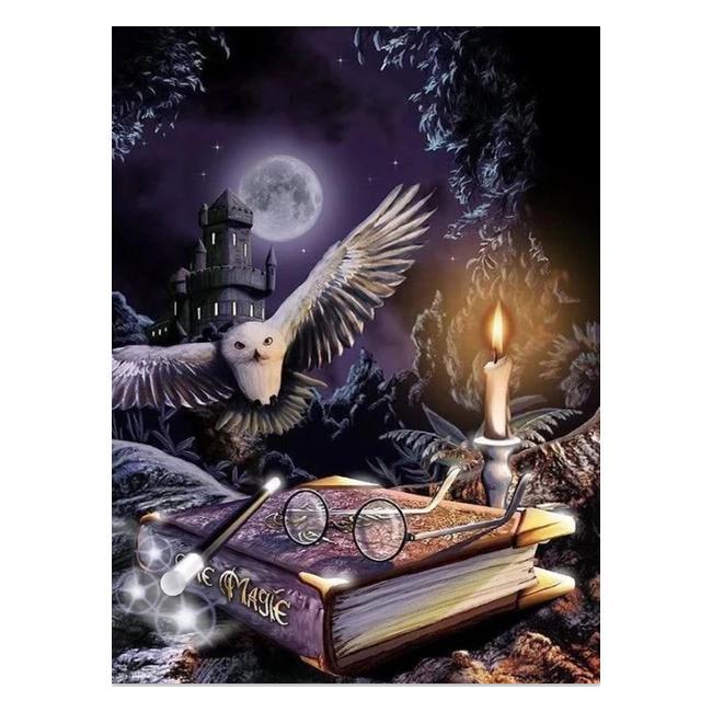 Алмазная вышивка мозаика Diy Гарри Поттер 30х40 см DZDP739