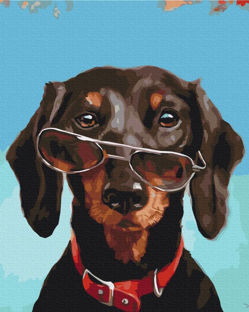 Картина по номерам BrushMe Пан Pancho 40х50 см (BS53508) Картина по номерам BrushMe Пан Pancho 40х50 см (BS53508)