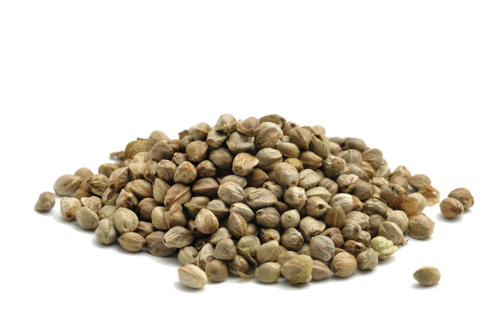 Семена конопли 250 г