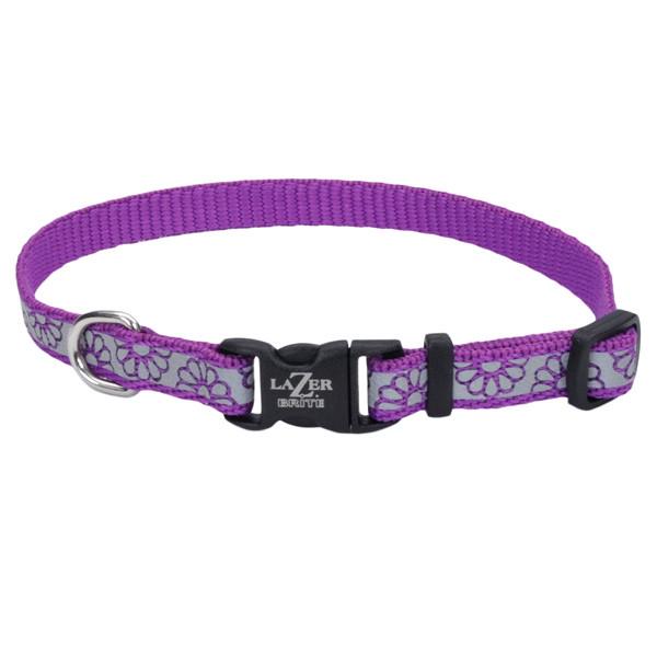 Ошейник светоотражающий для собак Coastal K9 Explorer Collar 2,5х30-46 см (36922_ROB18)