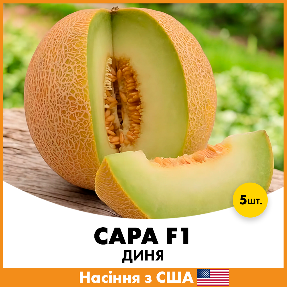 Семена дыни Innova Seeds Сара F1 5 шт. (jkl12)