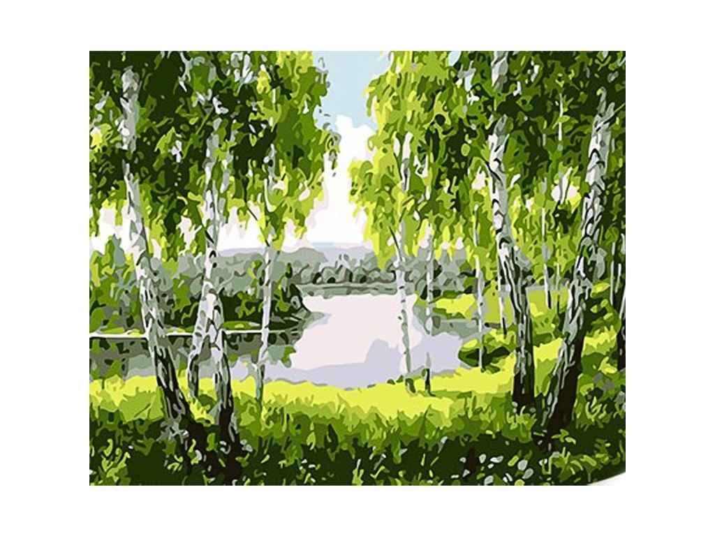 Картина по номерам Strateg Березовый рай 30х40 см (SS1096)