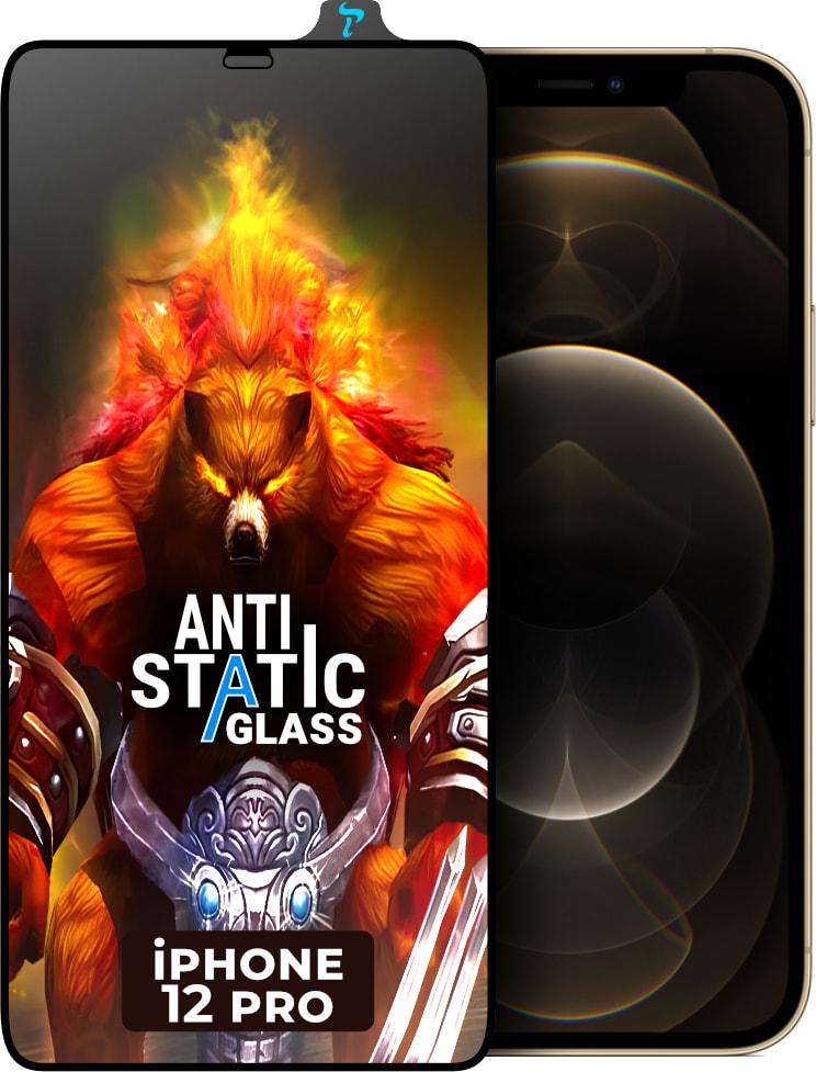 Стекло защитное ESD Antistatic iPhone 12 Pro (33323)