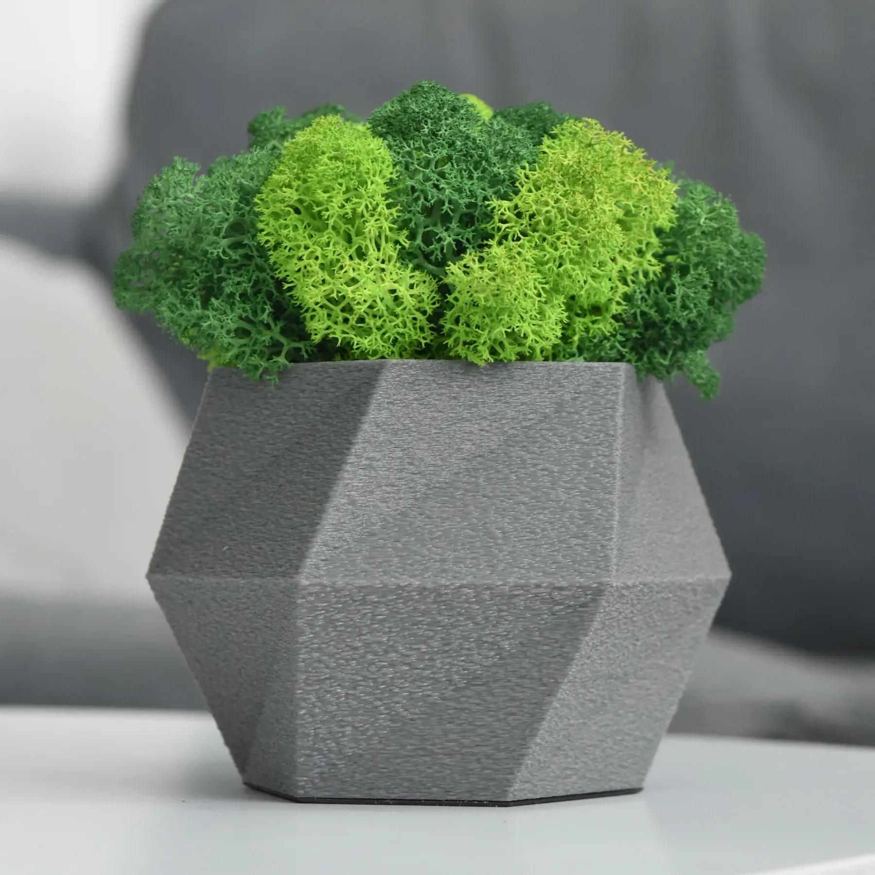 Кашпо Hurricane со стабилизированным мхом Серый/Зеленый/Салатовый (KM-S-1)