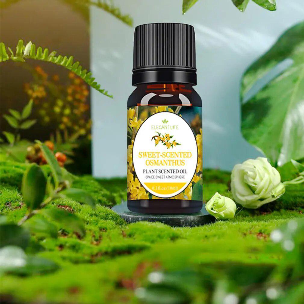 Олія ефірна водорозчинна для зволожувачів повітря Османтус 10 мл (406854) - фото 3 Олія ефірна водорозчинна для зволожувачів повітря Османтус 10 мл (406854) - фото 3