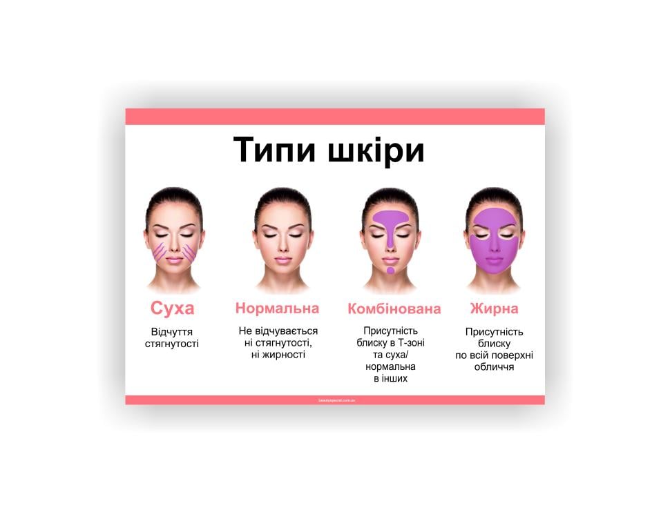 Плакат Vivay Типи шкіри 60х40 см (25602813)