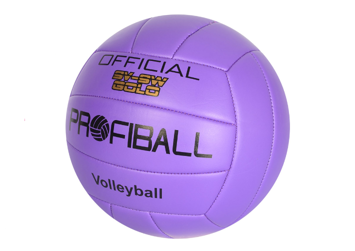 Мяч волейбольный EN 3283 (AN004036)