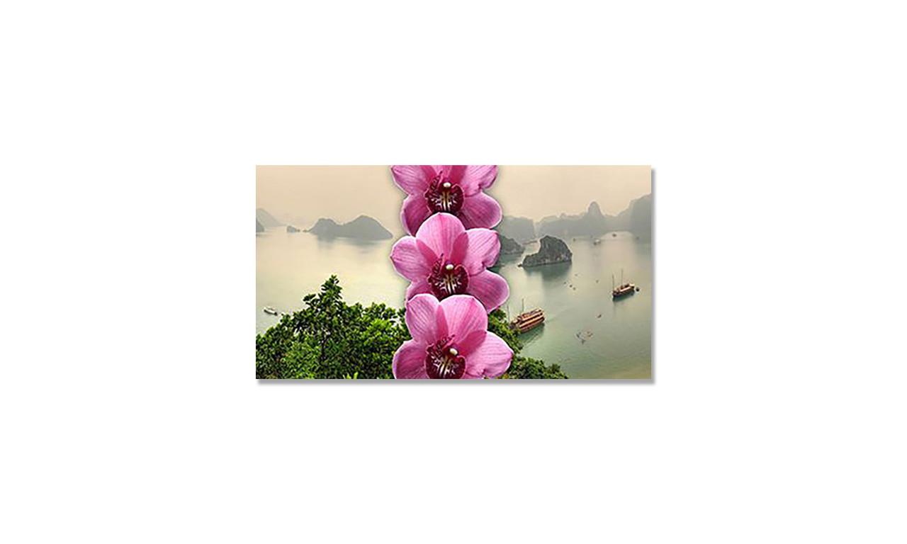 Наклейка виниловая на стол Zatarga Тайланд 650х1200 мм (1274514201) Наклейка виниловая на стол Zatarga Тайланд 650х1200 мм (1274514201)