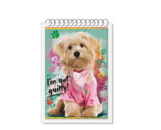 Блокнот Руслан А-6 80 листов пружина (RLN10154)