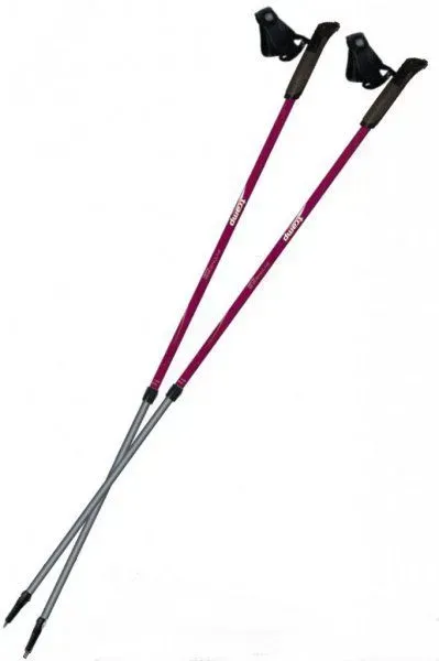 Палки для скандинавской ходьбы Tramp Fitness Alu (TRR-011)