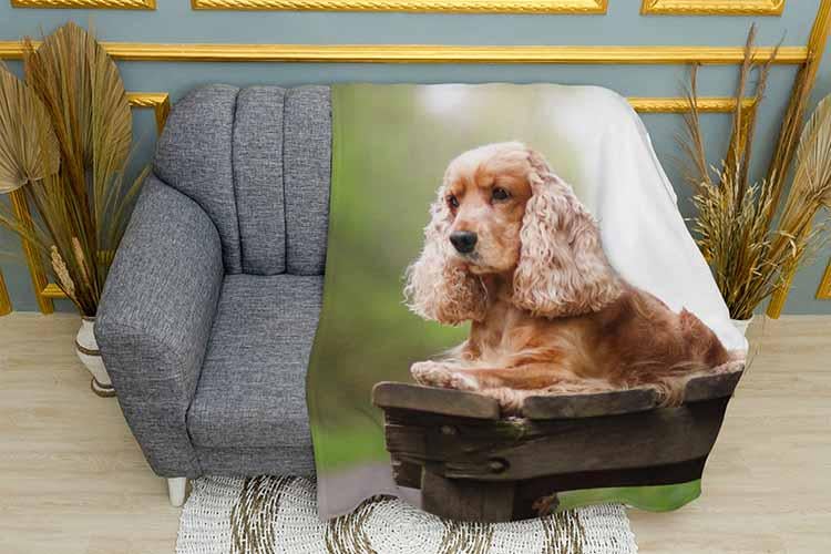 Плед Cute cocker spaniel плюш двухслойный 135х150 см (113457-2)