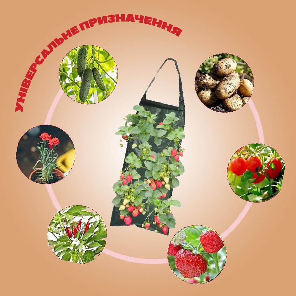 Мішок-гроубег плантаторний для вирощування розсади/полуниці/картоплі підвісний 30 л (PDVSRS-0734) - фото 2 Мішок-гроубег плантаторний для вирощування розсади/полуниці/картоплі підвісний 30 л (PDVSRS-0734) - фото 2