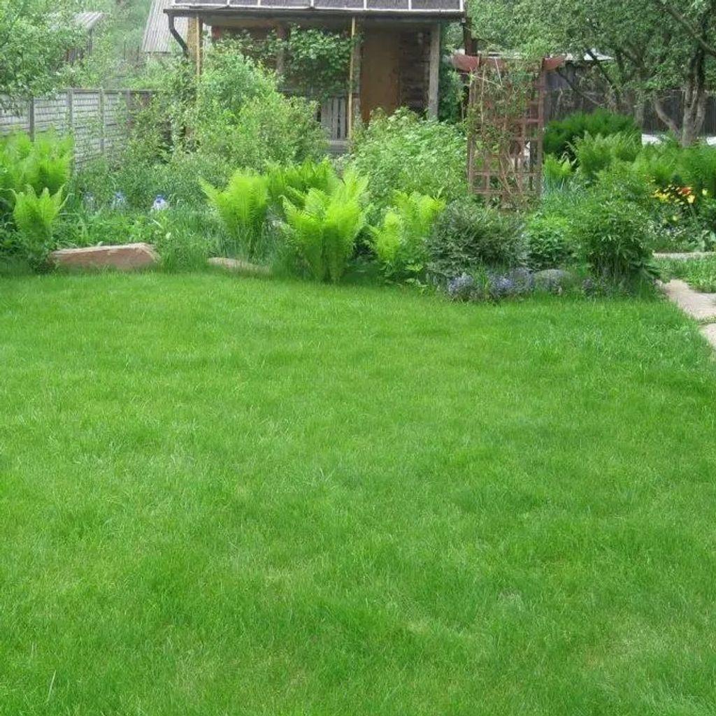 Газонная трава GrassNature Стандарт универсальная 1 кг (3222111492)