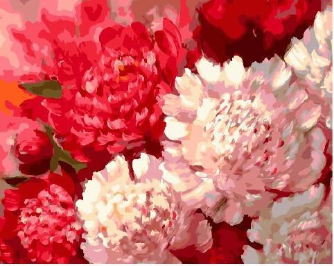 Картина по номерам Brushme "Контрастные пионы" 40х50 см (BK-GX25609)