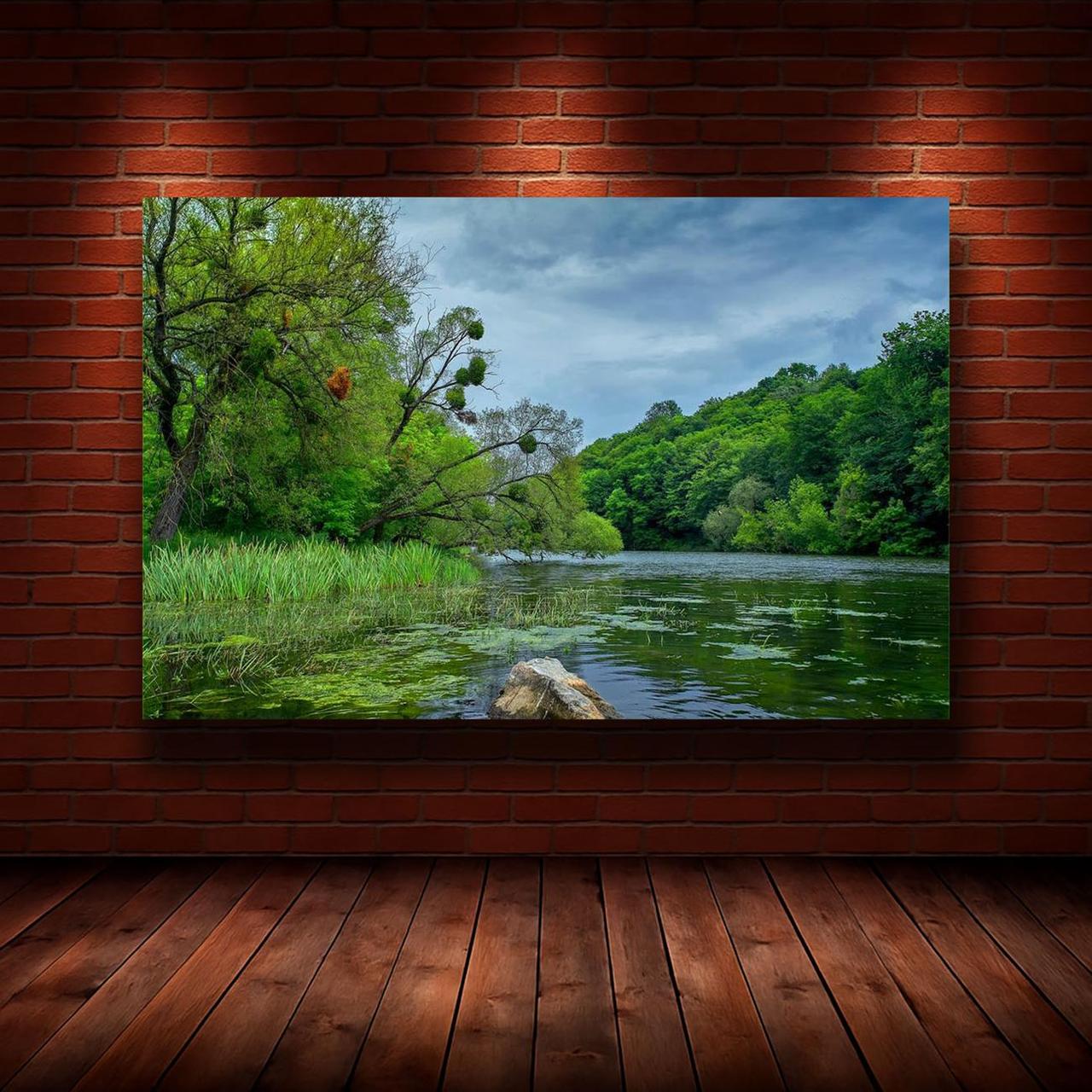 Картина на холсте Природа 55х85 см (N1268)
