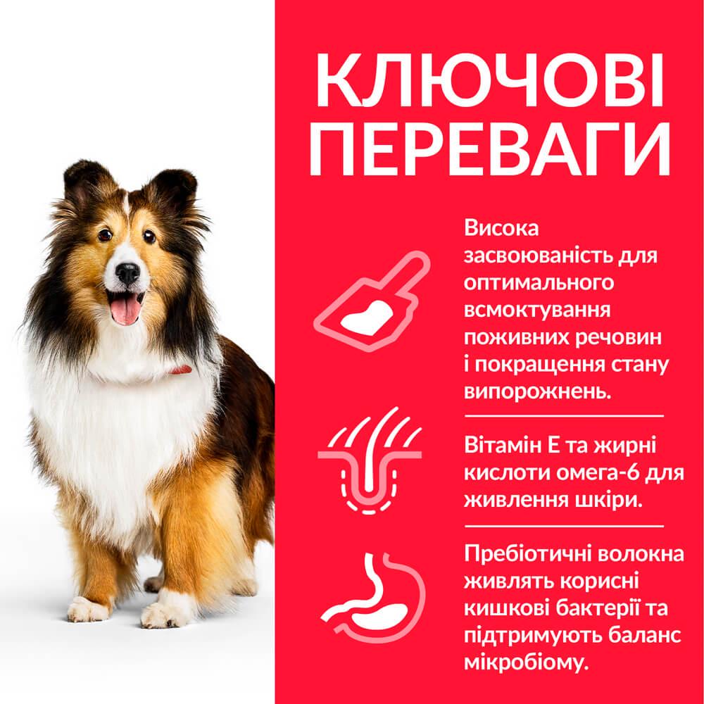 Корм сухой Hill's Science Plan Canine Sensitive Stomach&Skin Medium с курицей для собак с чувствительным пищеварением средних пород 14 кг - фото 2 Корм сухой Hill's Science Plan Canine Sensitive Stomach&Skin Medium с курицей для собак с чувствительным пищеварением средних пород 14 кг - фото 2
