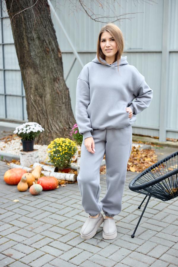 Спортивный костюм женский AKSAN зимний байковый двойка M Серый (25.2745_gray_44(M))