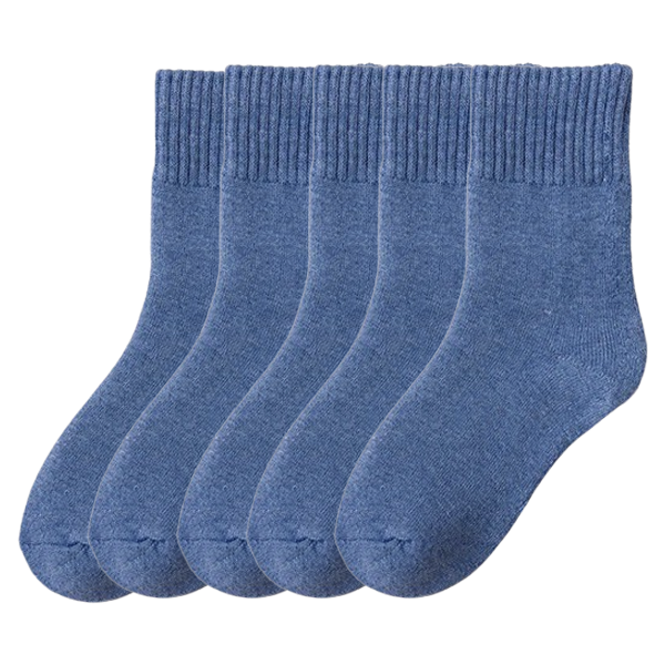 Носки женские махровые из хлопка классической вязки 5 пар Синий (Y01187-3)